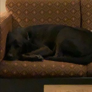 Meet your Posher, Brian